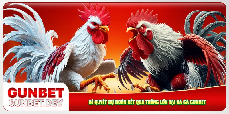 Bí quyết dự đoán kết quả thắng lớn tại đá gà Gunbet Bí quyết dự đoán kết quả thắng lớn tại đá gà Gunbet