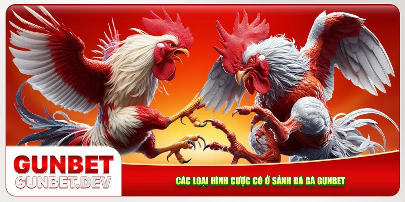 Các loại hình cá cược có mặt tại sảnh đá gà Gunbet Các loại hình cá cược có mặt tại sảnh đá gà Gunbet
