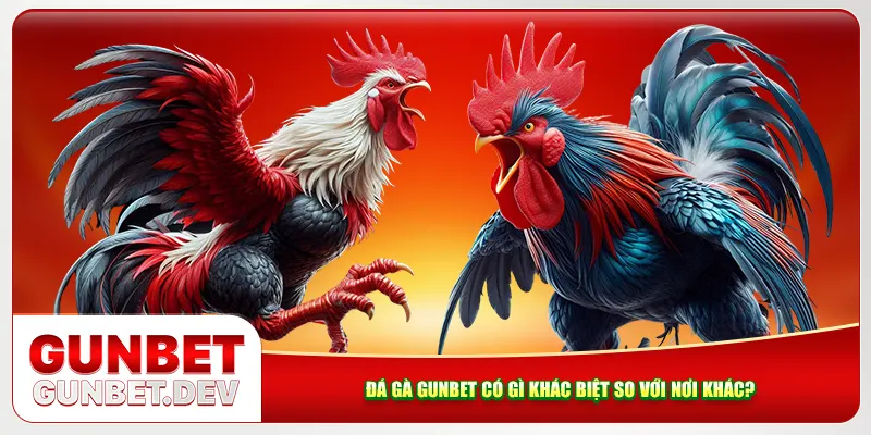 Đá gà Gunbet có gì khác biệt so với nền tảng khác? Đá gà Gunbet có gì khác biệt so với nền tảng khác?