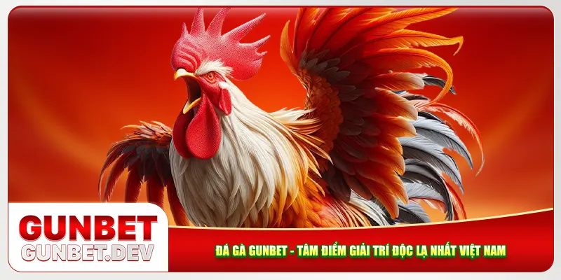 Đá Gà Gunbet - Tâm Điểm Giải Trí Độc Lạ Hàng Đầu Việt Nam